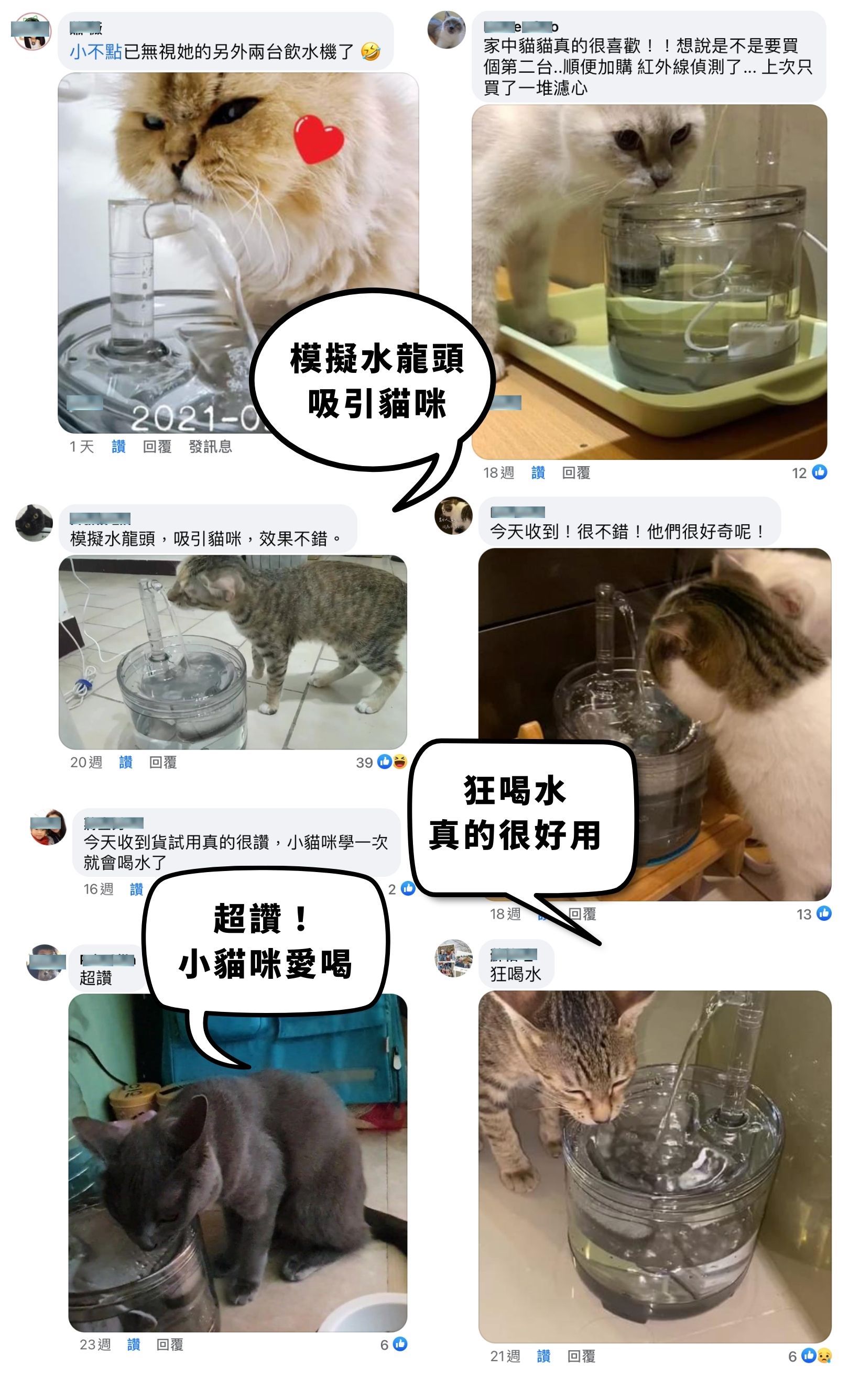 MAOMAO寵物飲水機