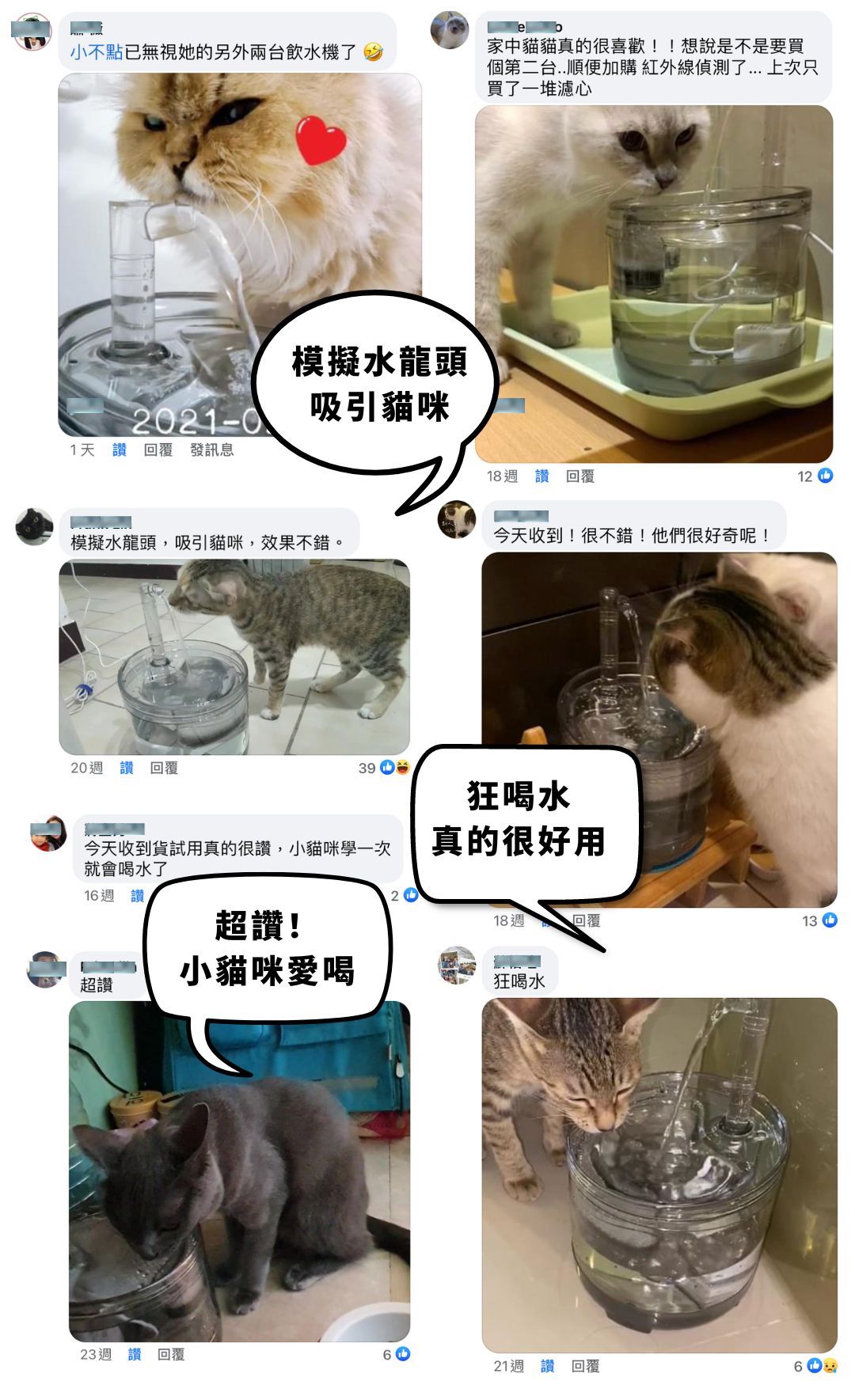 MAOMAO寵物飲水機