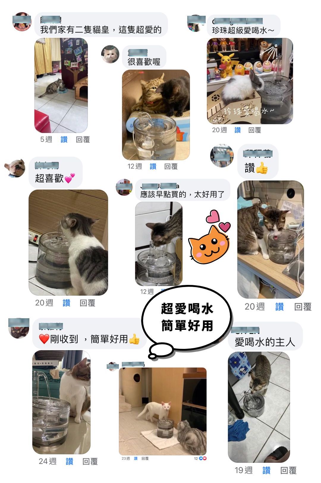 MAOMAO寵物飲水機