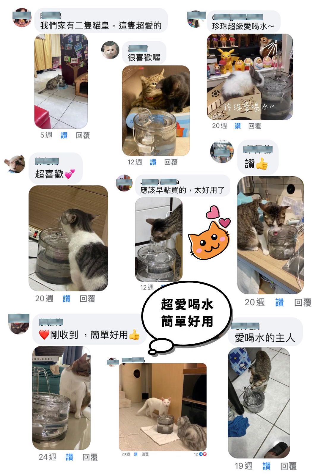 MAOMAO寵物飲水機