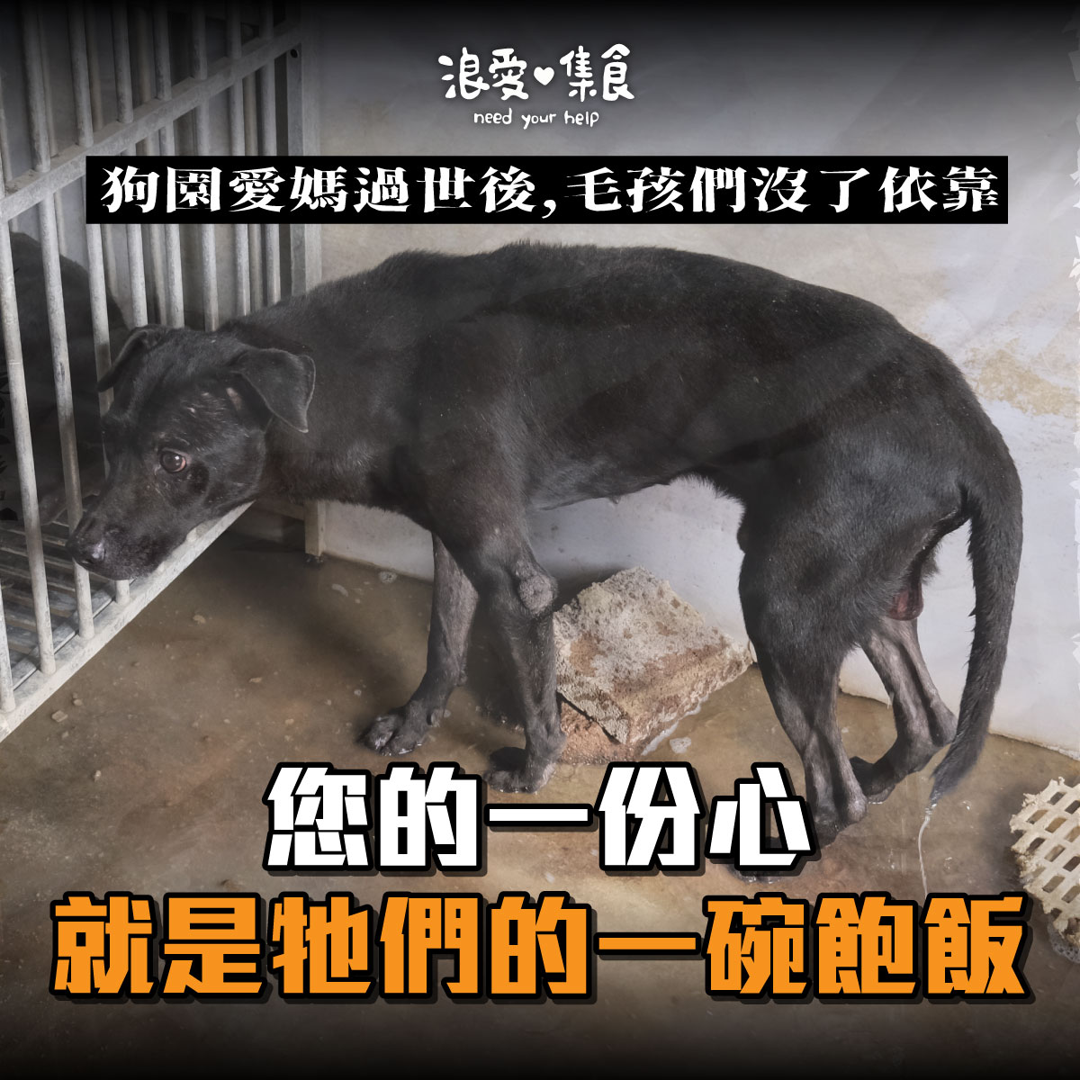 南部救災調皮園區(100日份)