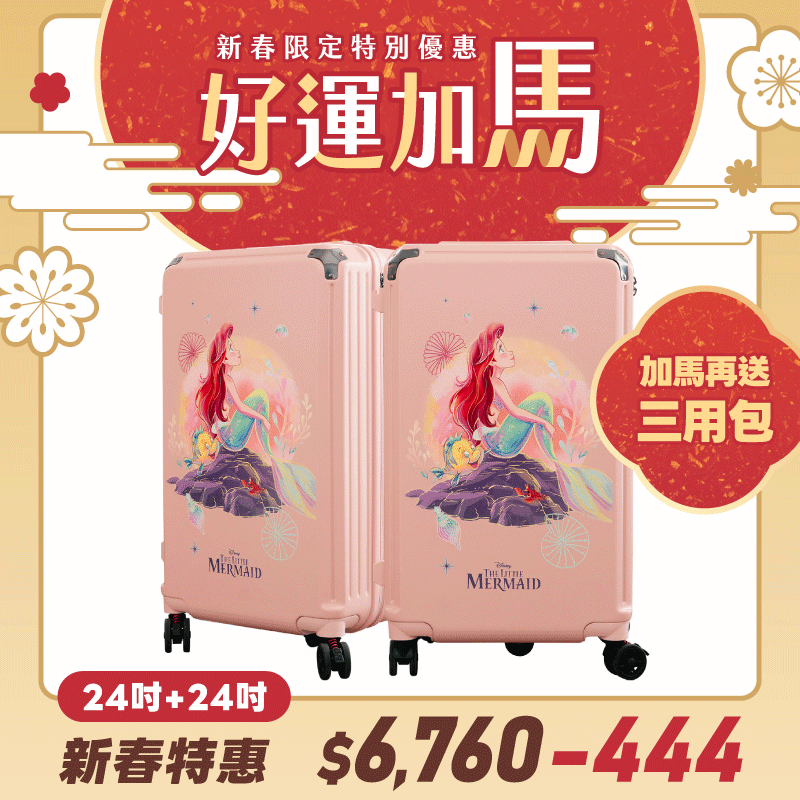 極o能裝行李箱-24吋*2 極o能裝行李箱-24吋*2