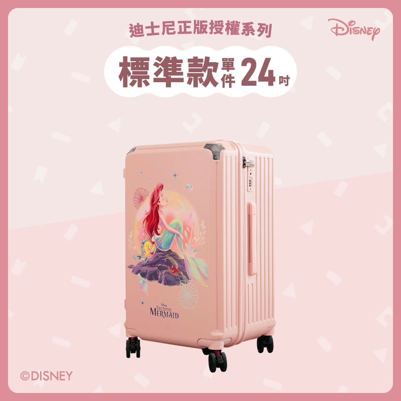 【標準款系列】極o能裝行李箱-24吋*1