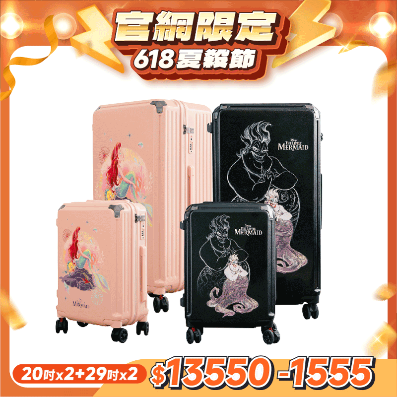 極o能裝20吋*2+29吋*2