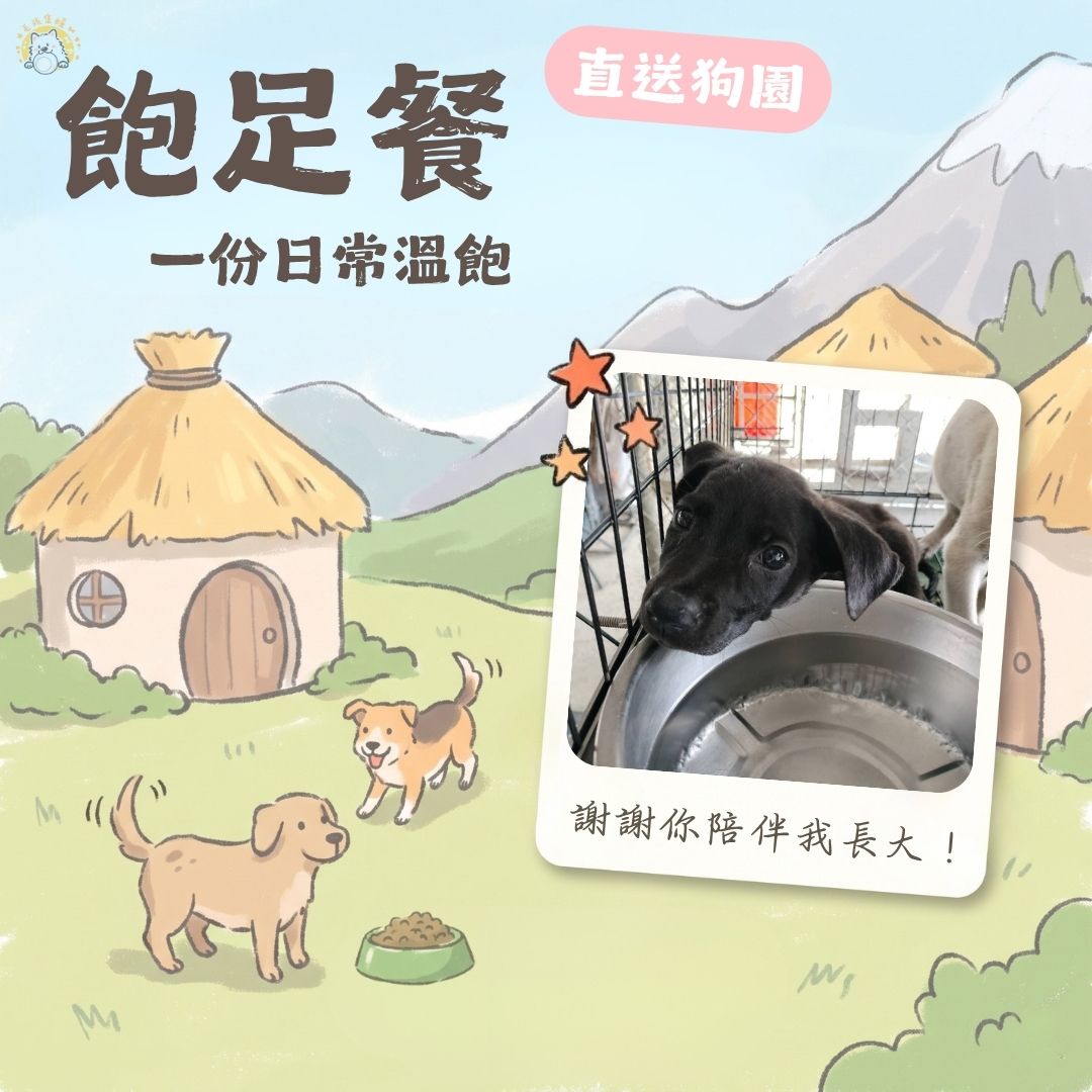 乾糧 10 日份