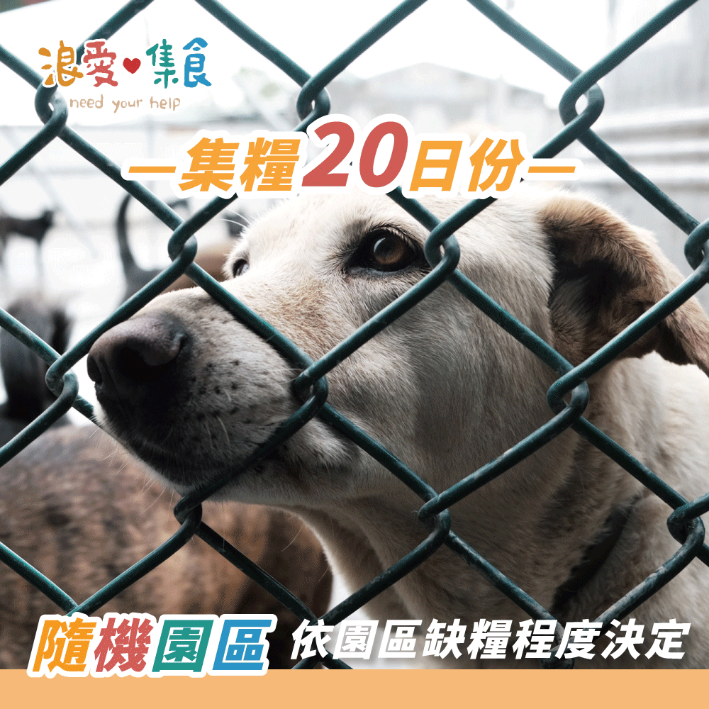 浪浪糧食20日份 浪浪糧食20日份