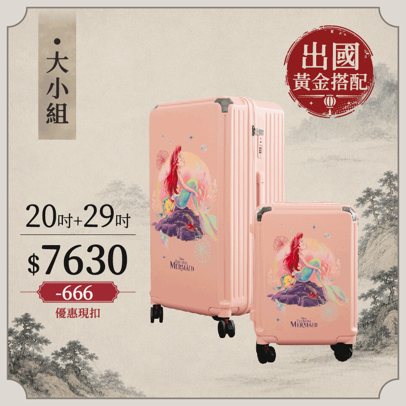 極o能裝20吋*1+29吋*1