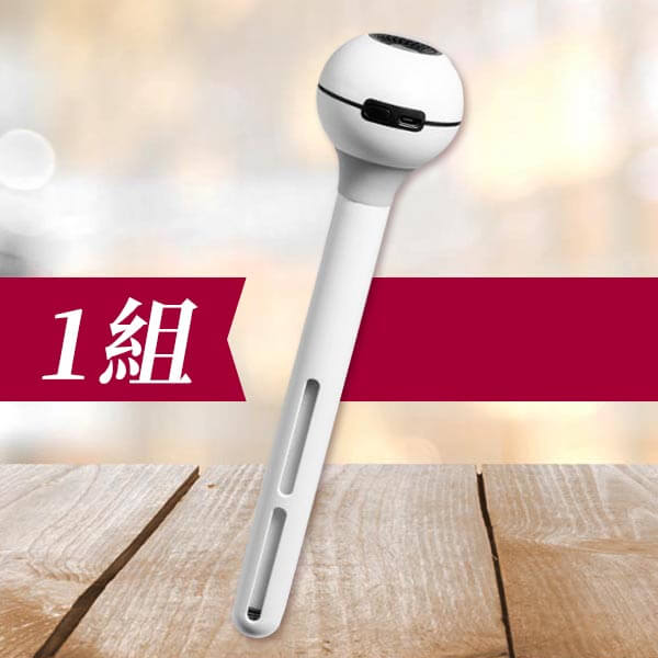 奈米級潤肌水氧棒(1組)