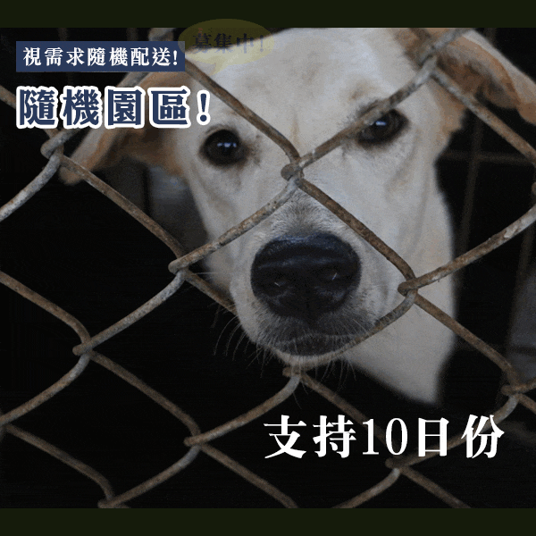 浪浪糧食10日量(1份)