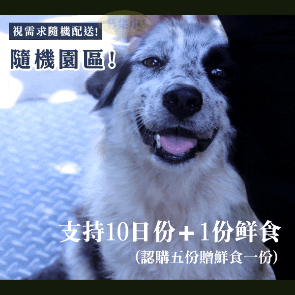 浪浪糧食10日量(5份)+鮮食