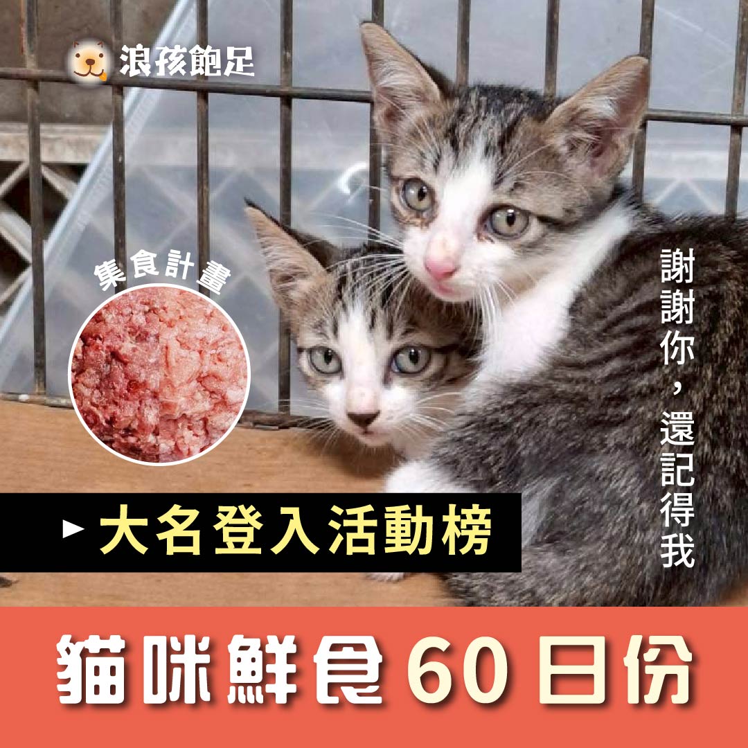 貓咪營養鮮食 60日份 貓咪營養鮮食 60日份