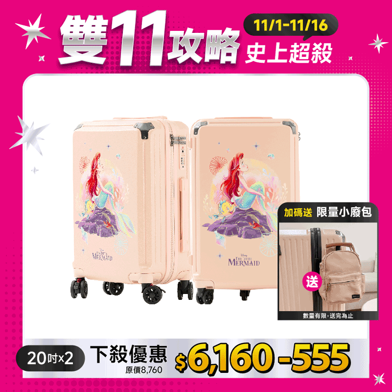 極o能裝行李箱-20吋*2 極o能裝行李箱-20吋*2