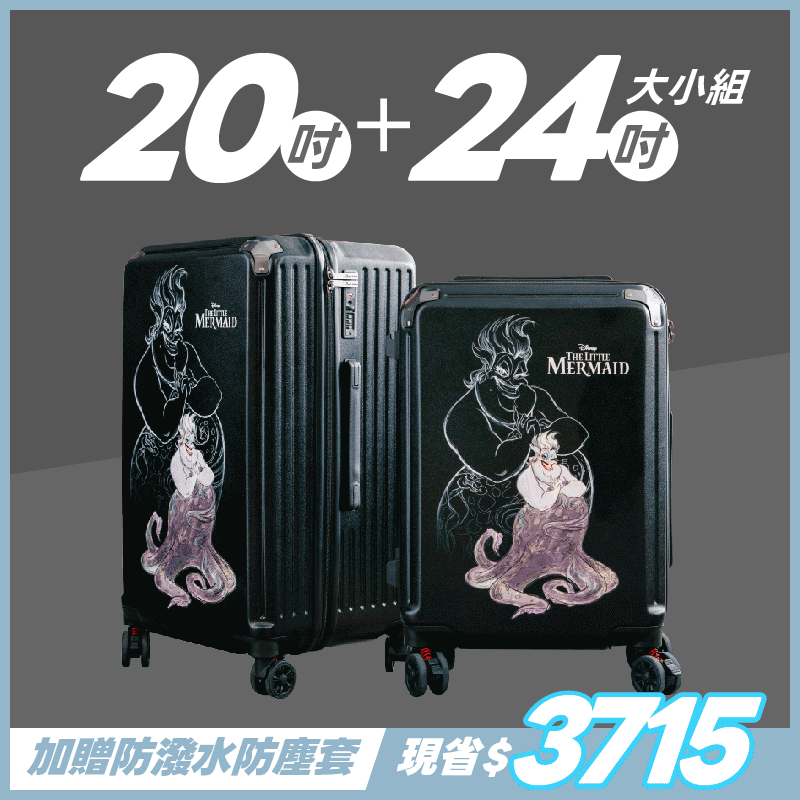 極o能裝-20吋*1+24吋*1