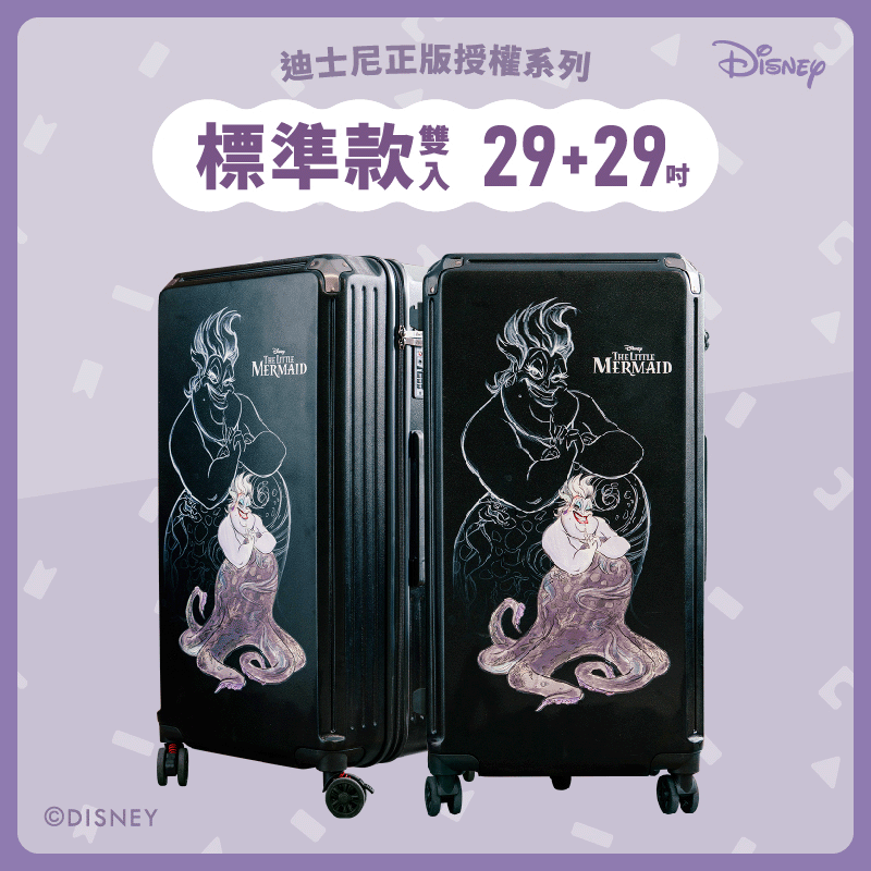 【標準款系列】極o能裝行李箱-29吋*2