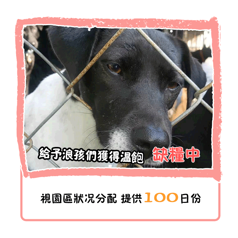 乾糧 100 日份