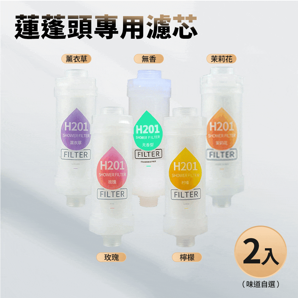 蓮蓬頭專用濾芯(二入組) 蓮蓬頭專用濾芯(二入組)