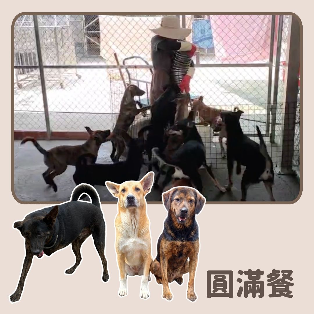 乾糧 100 日份