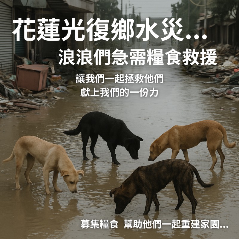 犬糧1份 犬糧1份