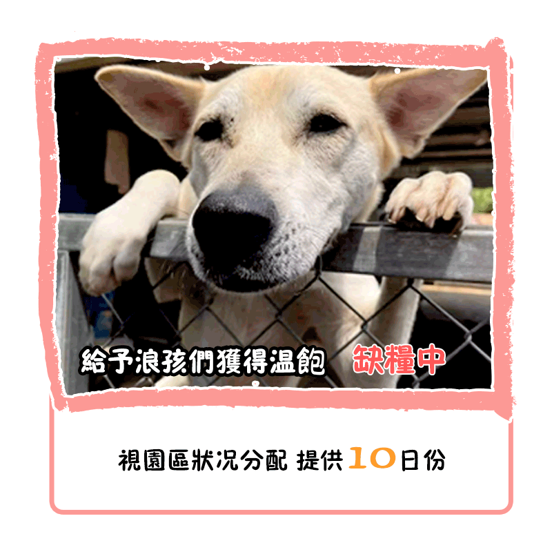 乾糧 10 日份 乾糧 10 日份
