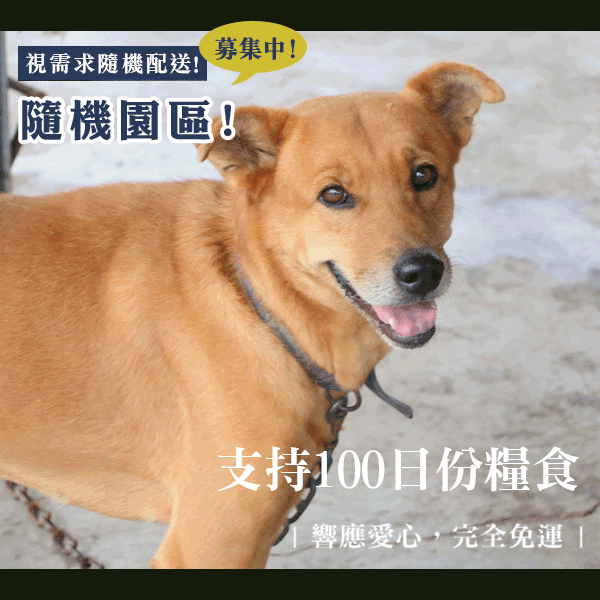 狗狗糧食100日量