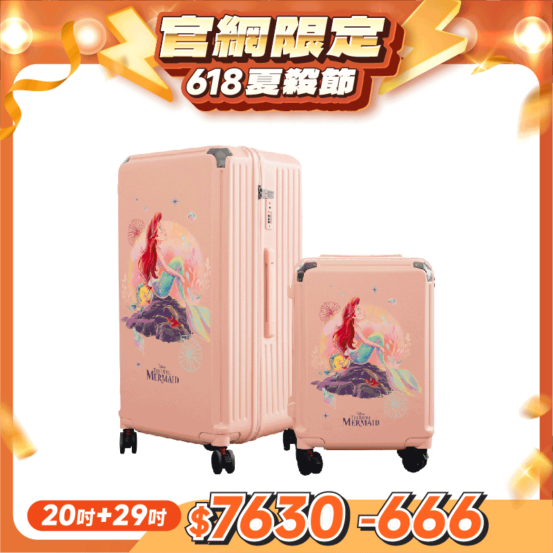 極o能裝20吋*1+29吋*1