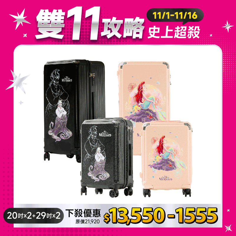 極o能裝20吋*2+29吋*2 極o能裝20吋*2+29吋*2