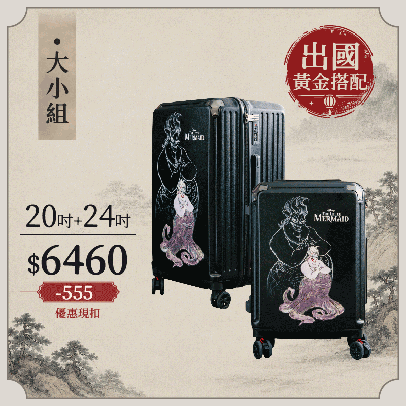 極o能裝-20吋*1+24吋*1