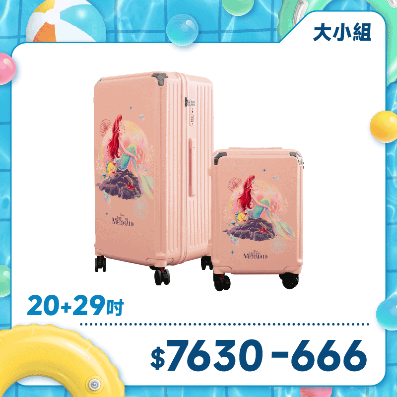 極o能裝20吋*1+29吋*1 極o能裝20吋*1+29吋*1