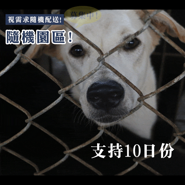 狗狗糧食10日量