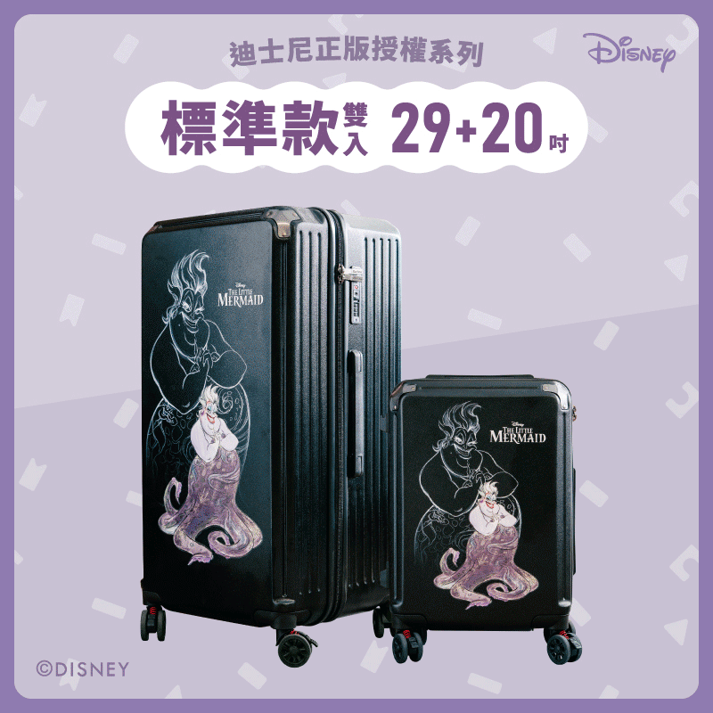 【標準款系列】極o能裝20吋*1+29吋*1 【標準款系列】極o能裝20吋*1+29吋*1