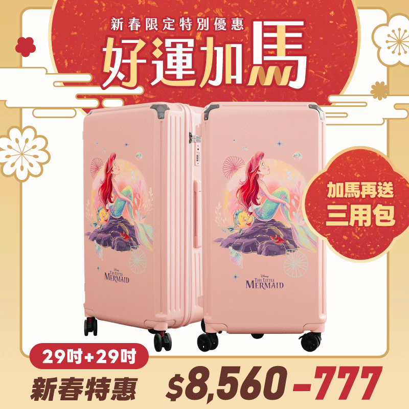 極o能裝行李箱-29吋*2 極o能裝行李箱-29吋*2