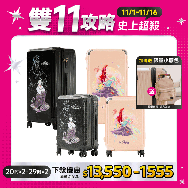 極o能裝20吋*2+29吋*2 極o能裝20吋*2+29吋*2