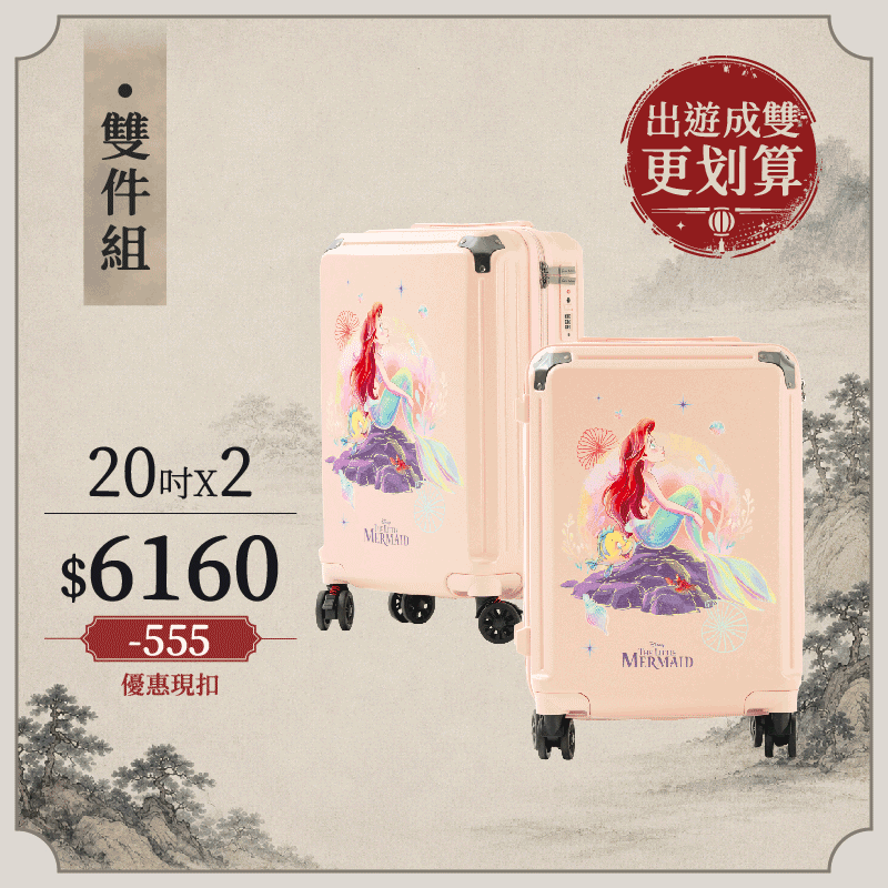 極o能裝行李箱-20吋*2