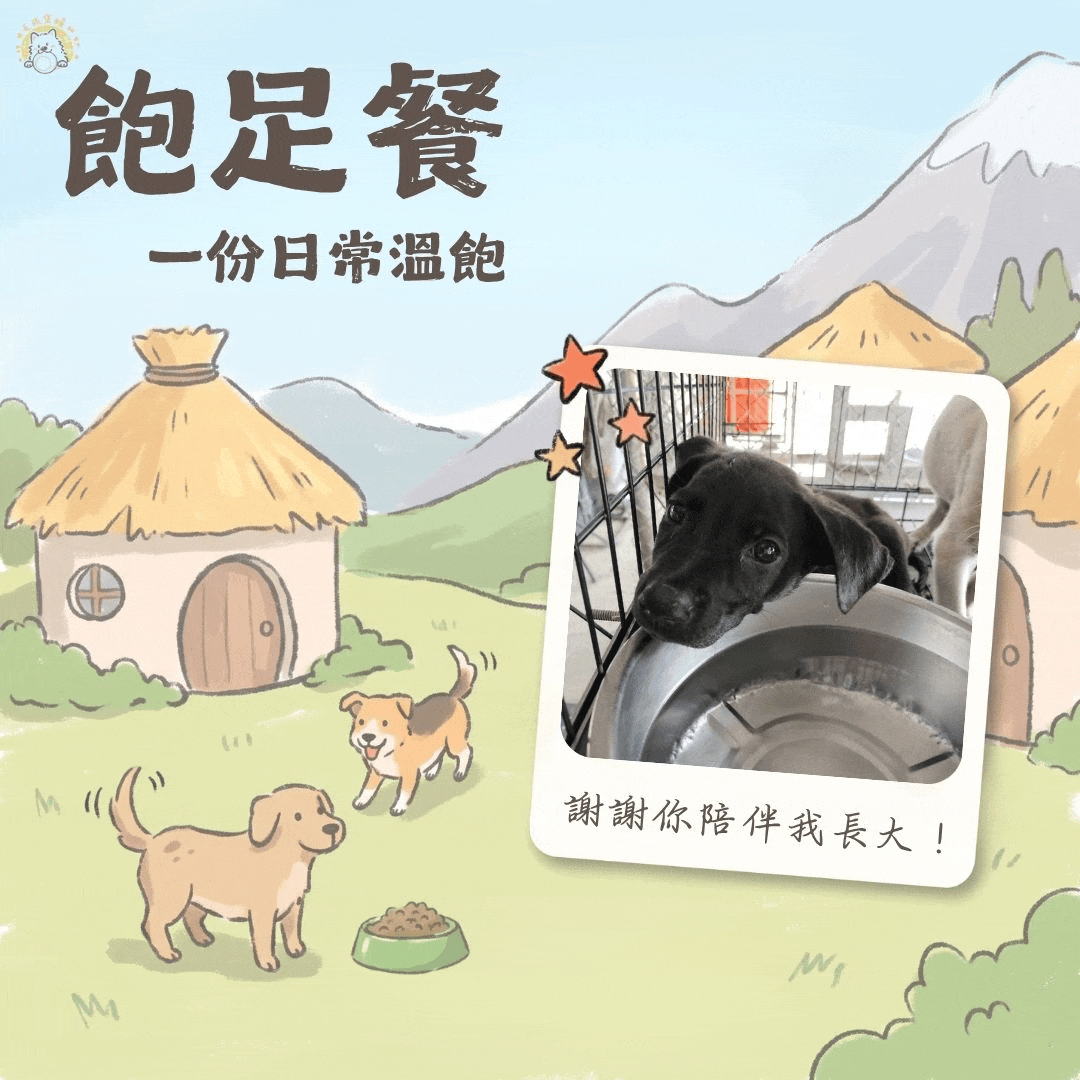 乾糧 10 日份