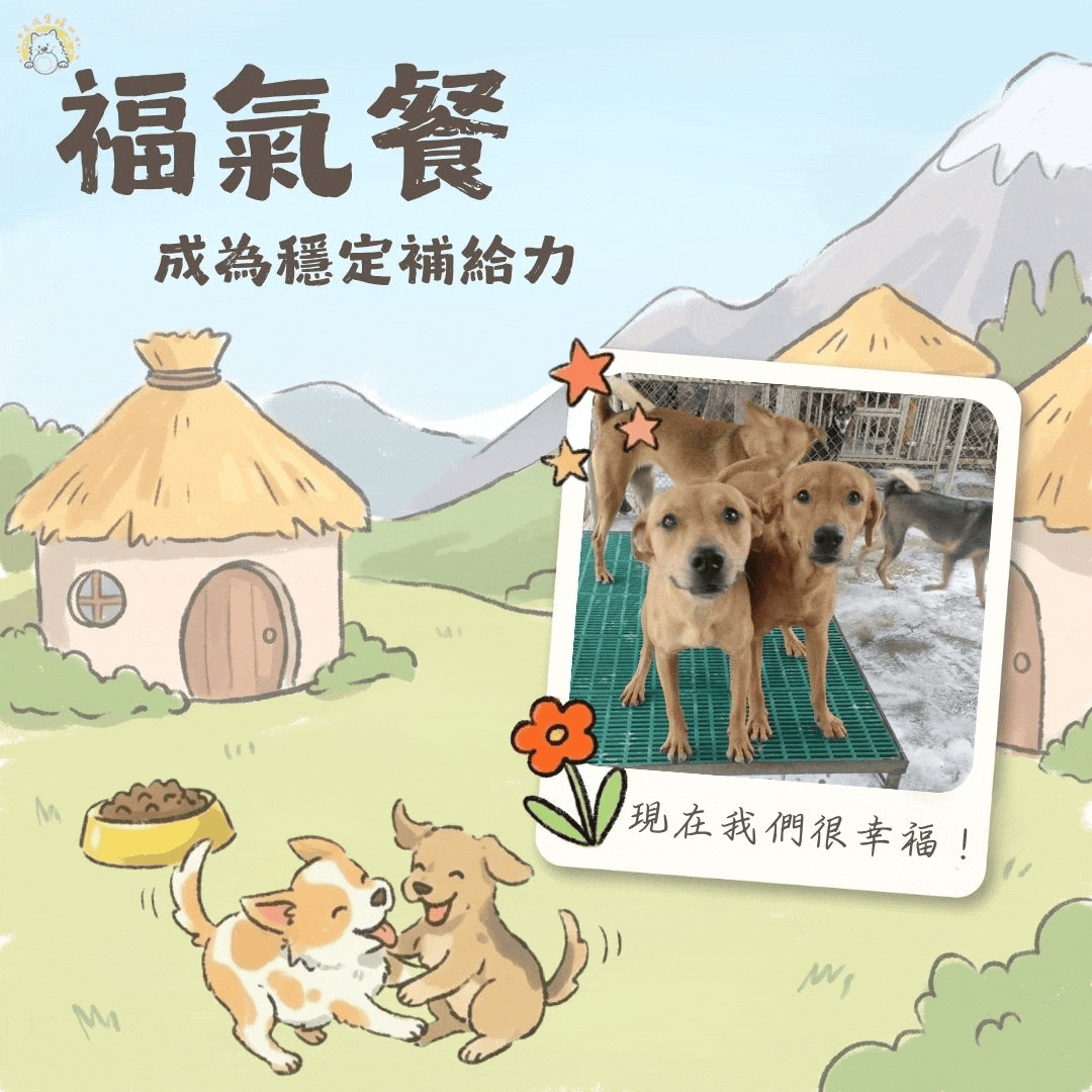 乾糧 50 日份