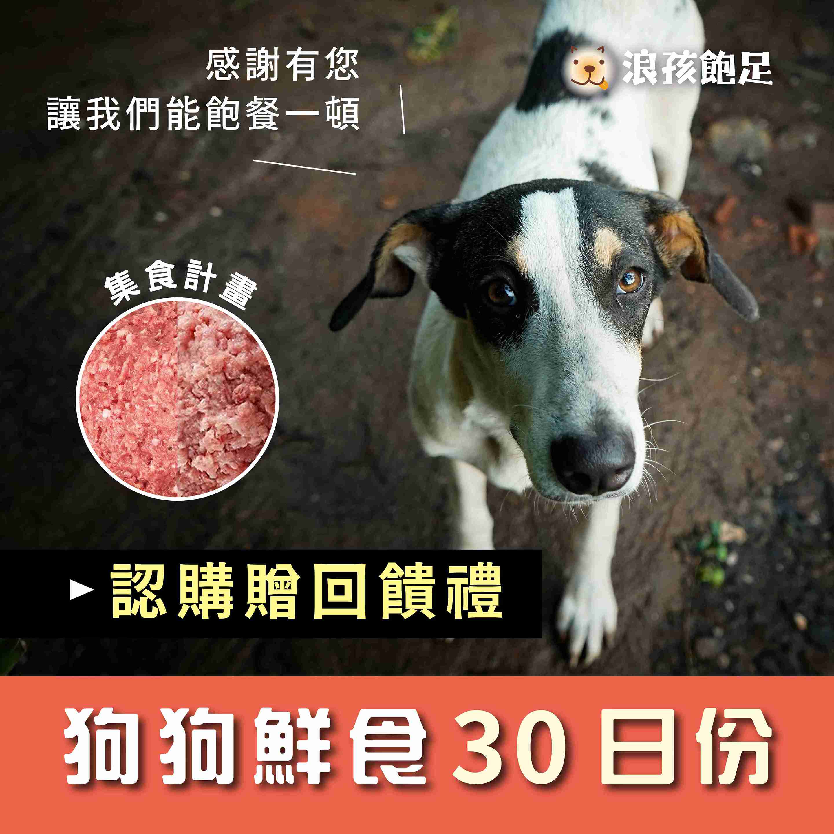 狗狗營養浪犬鮮食 30日份 狗狗營養浪犬鮮食 30日份