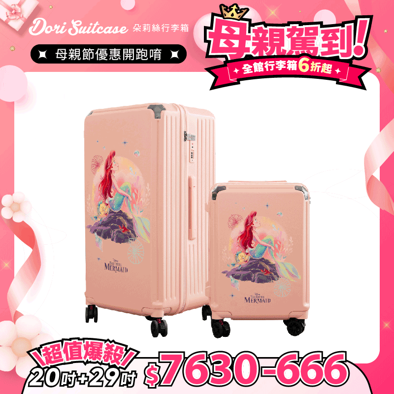 極o能裝20吋*1+29吋*1