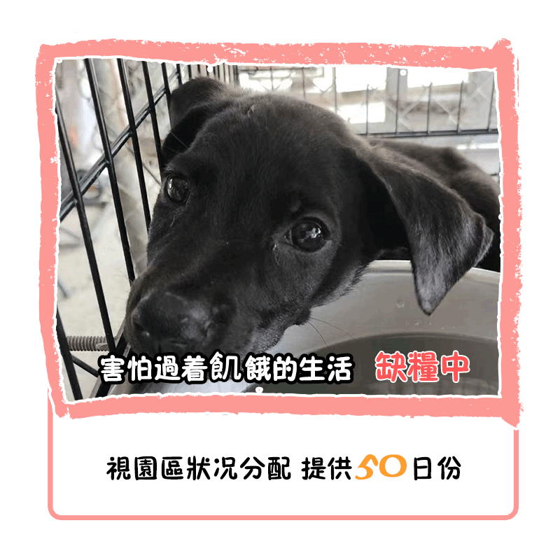 乾糧 50 日份 乾糧 50 日份