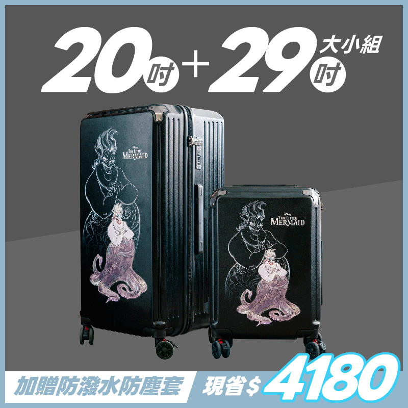 極o能裝20吋*1+29吋*1