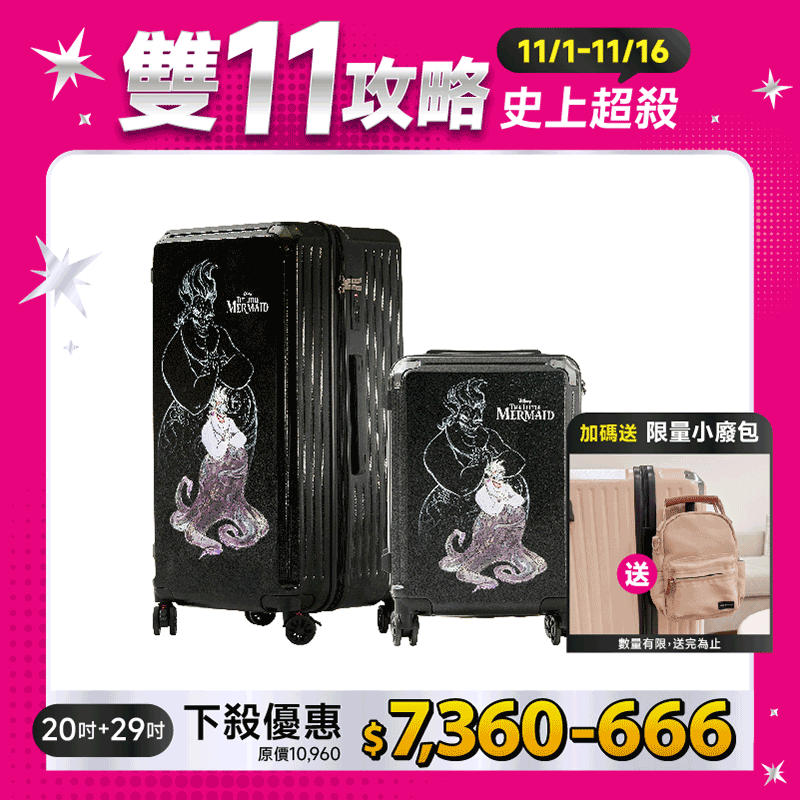 極o能裝20吋*1+29吋*1 極o能裝20吋*1+29吋*1