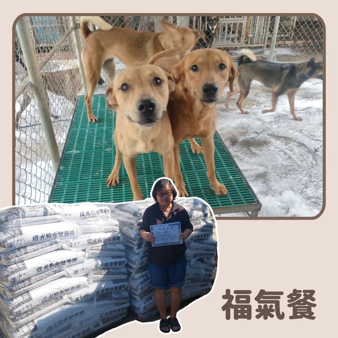 乾糧 50 日份