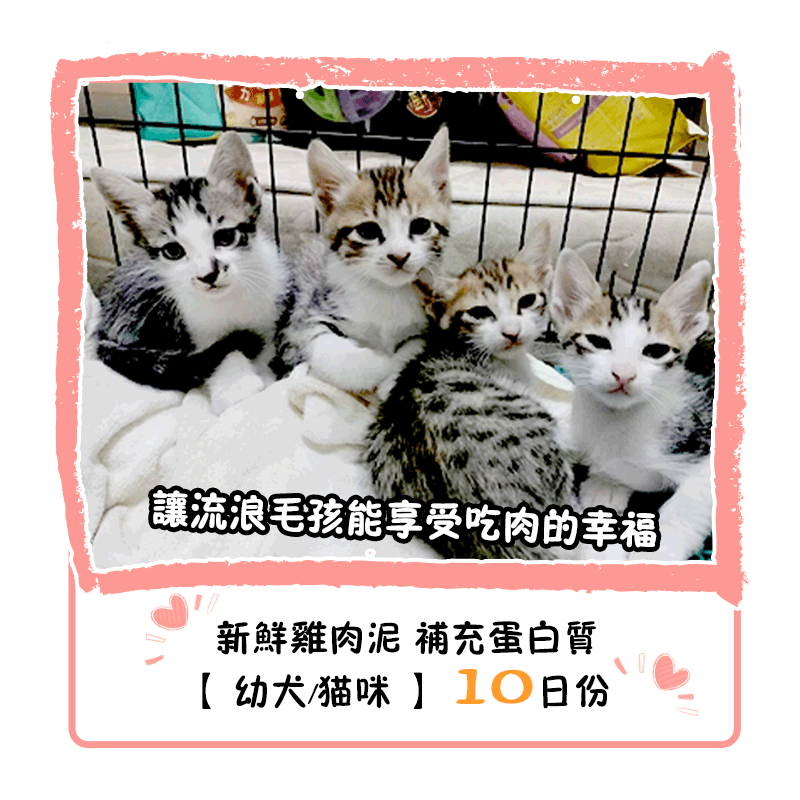 【貓咪/幼犬】肉泥