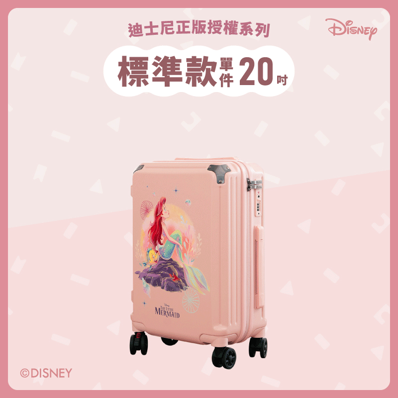 【標準款系列】極o能裝行李箱-20吋*1