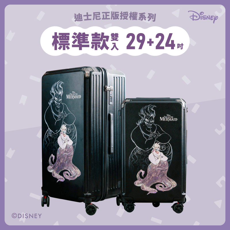 【標準款系列】極o能裝24吋*1+29吋*1