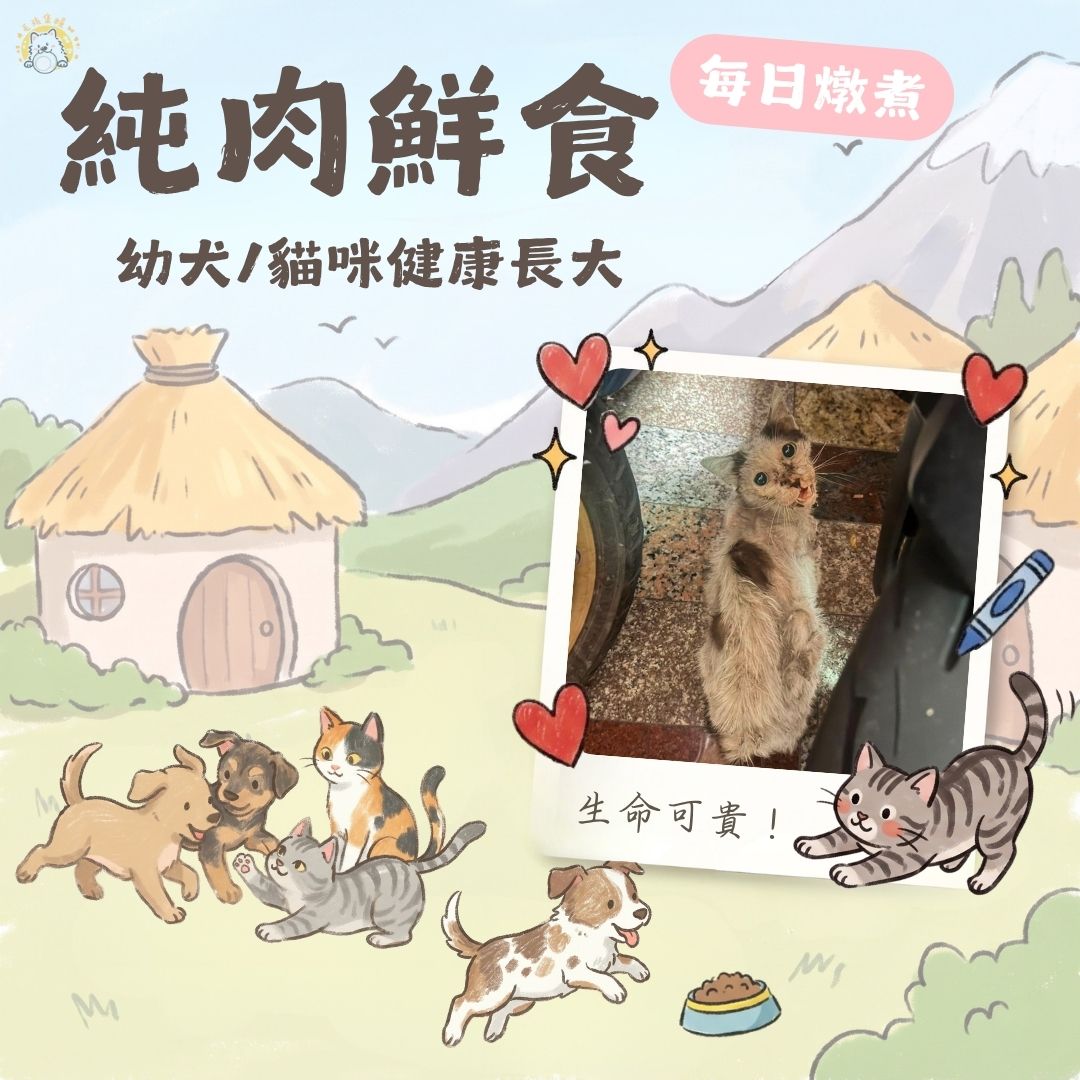 【貓/幼犬】肉泥