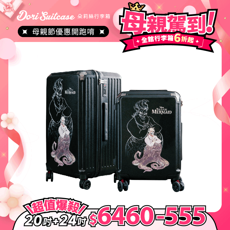極o能裝-20吋*1+24吋*1