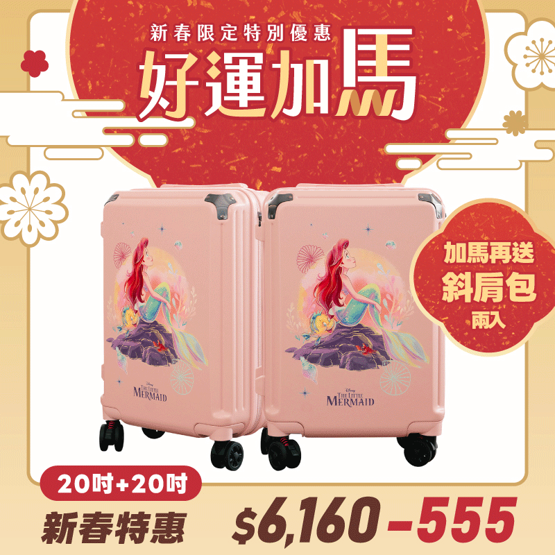 極o能裝行李箱-20吋*2 極o能裝行李箱-20吋*2