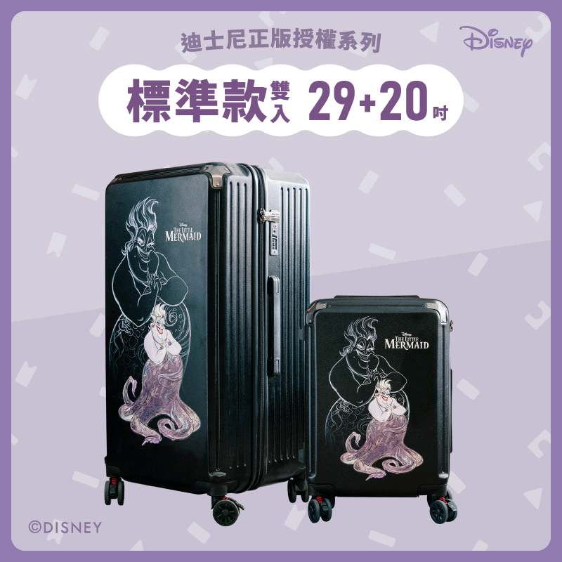 【標準款系列】極o能裝20吋*1+29吋*1