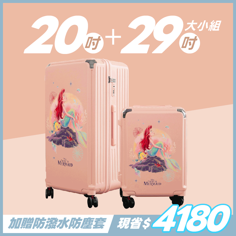 極o能裝20吋*1+29吋*1