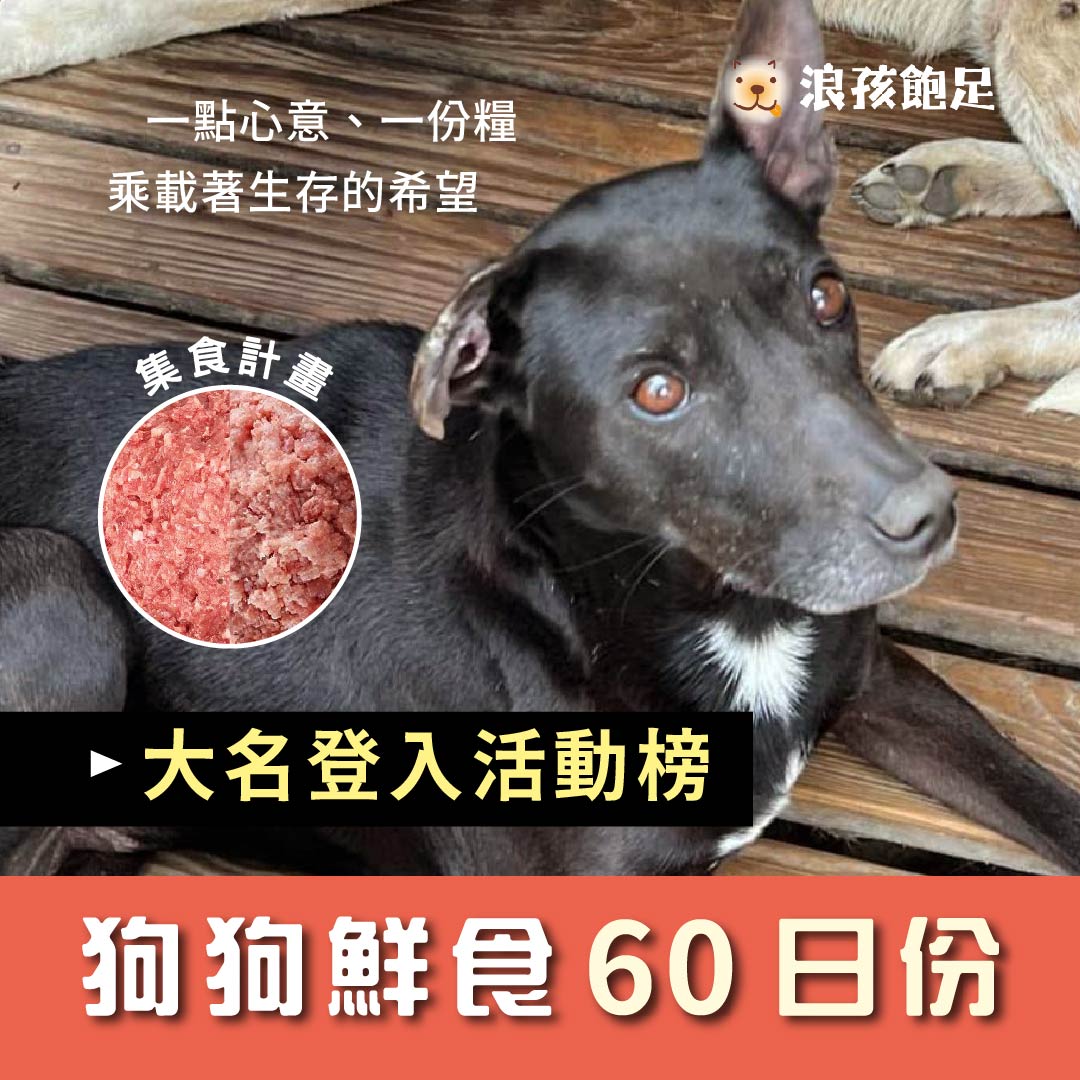 狗狗營養鮮食 60日份 狗狗營養鮮食 60日份